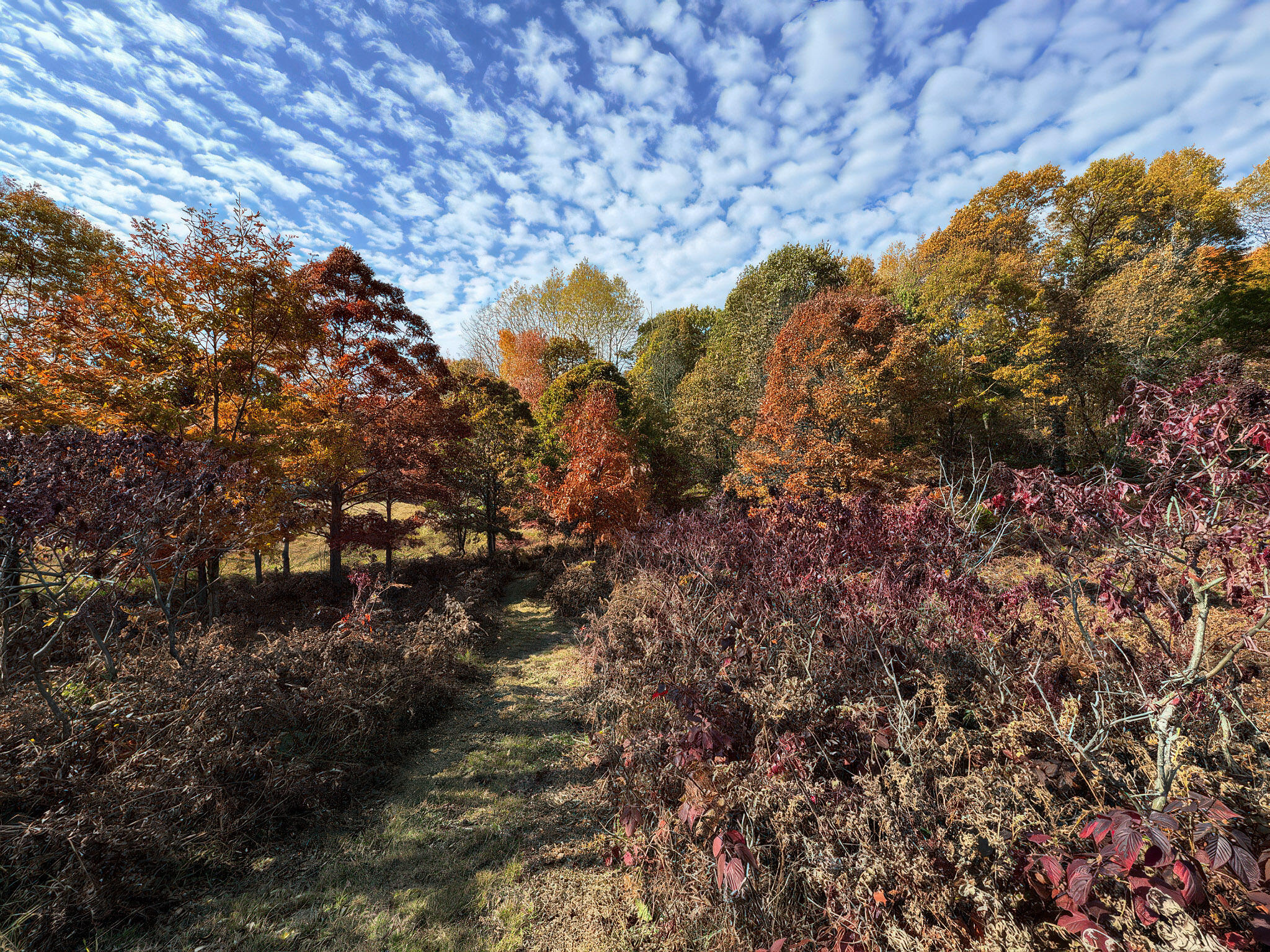 4185 North Taylor Road Branch, MI 49402 - Photo 33 of 67 21-FCBF24DEb-D35E-4012-B162-B6F456B63082