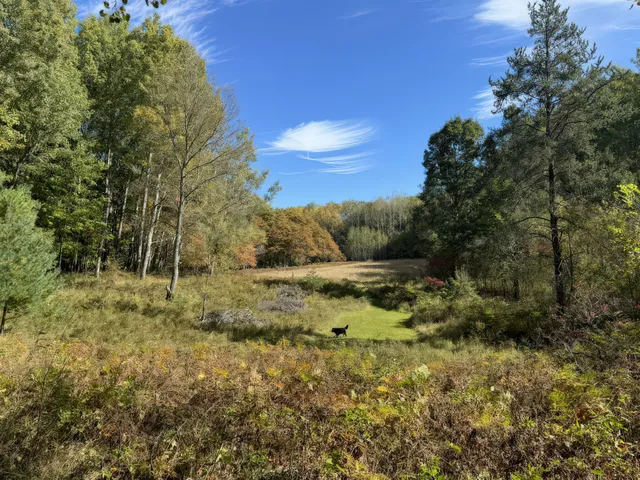 $829,000 | 4185 North Taylor Road, Branch, MI 49402