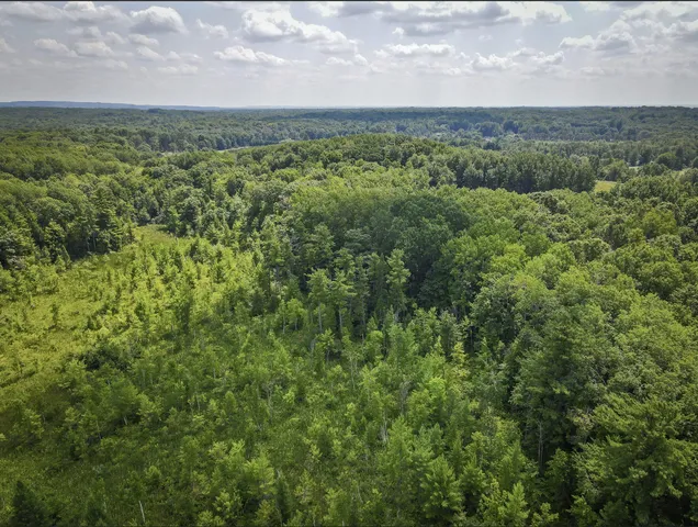 $829,000 | 4185 North Taylor Road, Branch, MI 49402