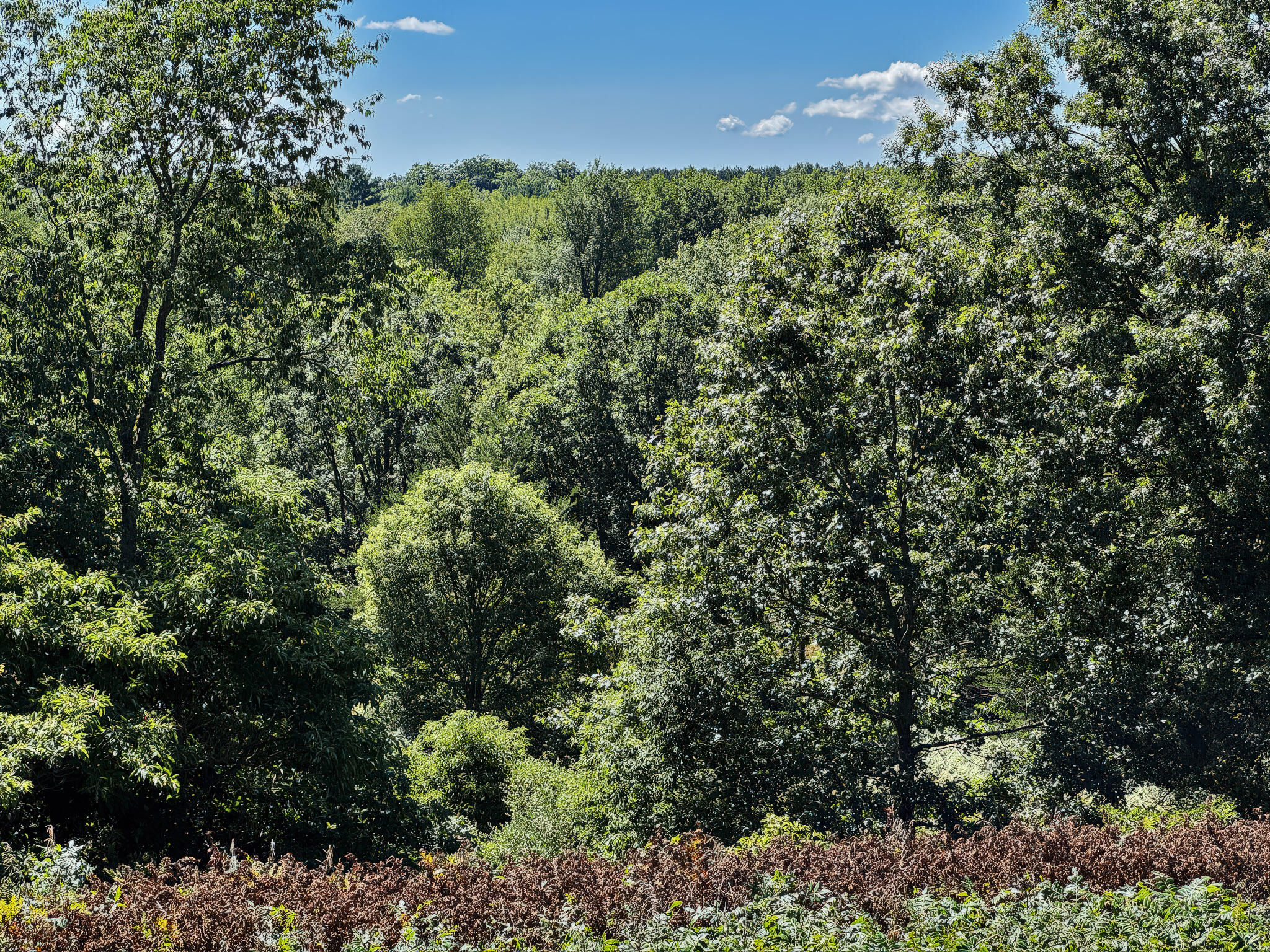 4185 North Taylor Road Branch, MI 49402 - Photo 39 of 67 7-Hill_001