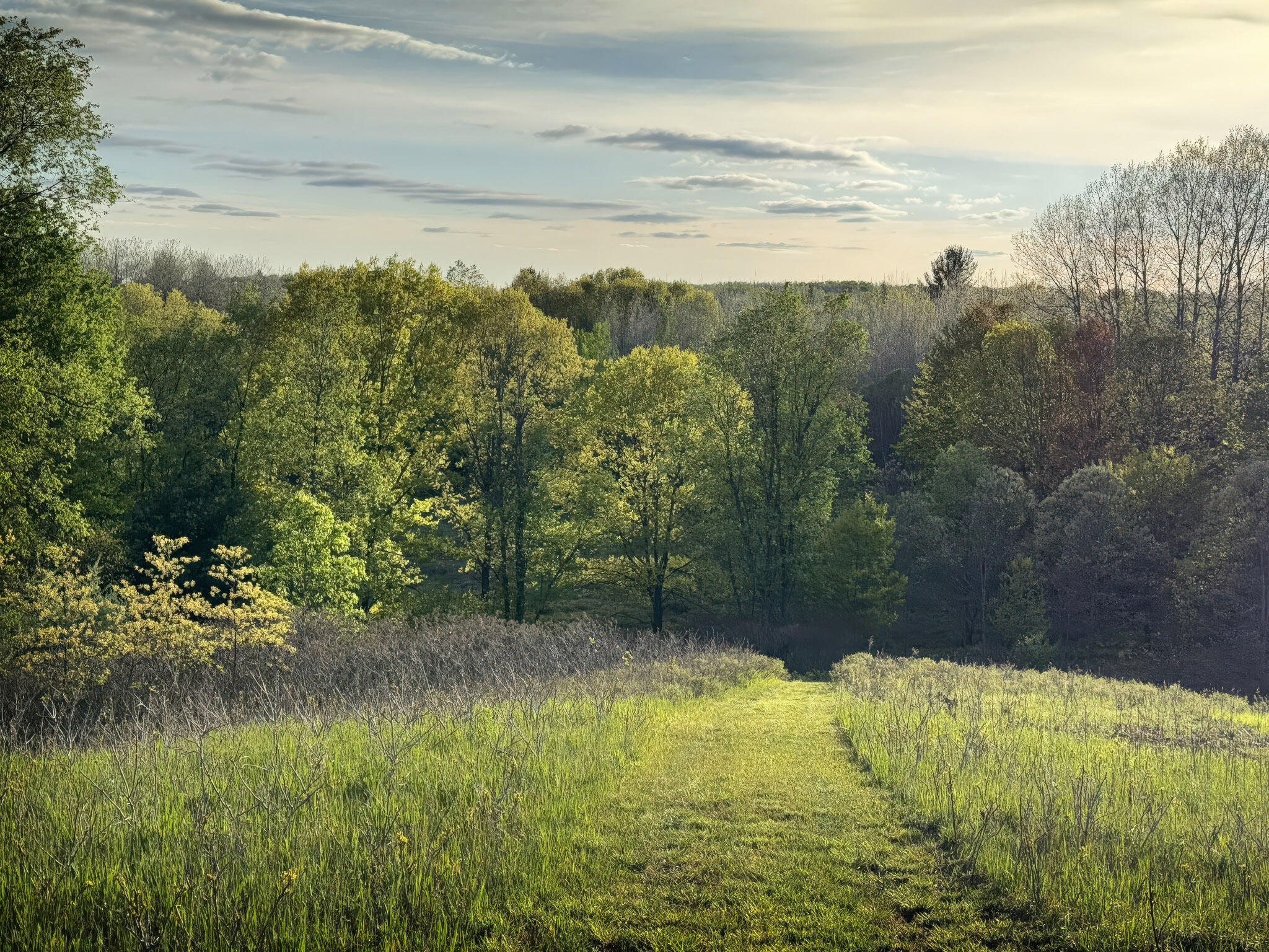 4185 North Taylor Road Branch, MI 49402 - Photo 40 of 67 16-Hill_003
