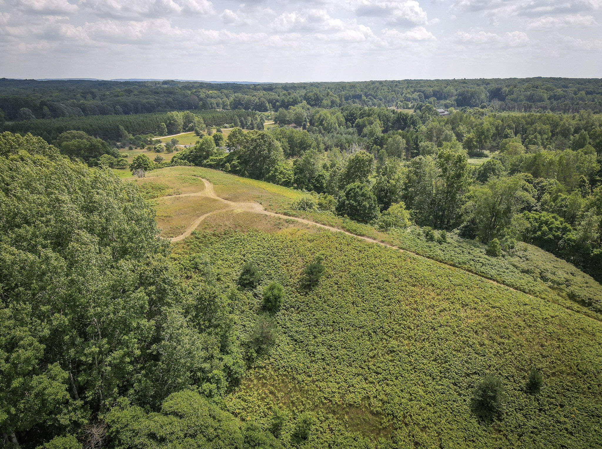 4185 North Taylor Road Branch, MI 49402 - Photo 42 of 67 13-Hill_005