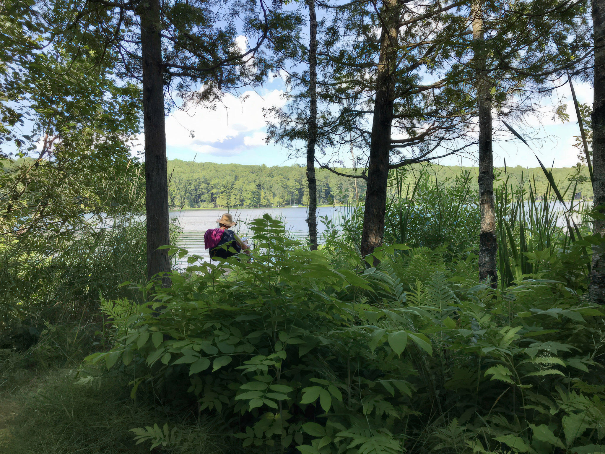 4185 North Taylor Road Branch, MI 49402 - Photo 45 of 67 11-lake_003