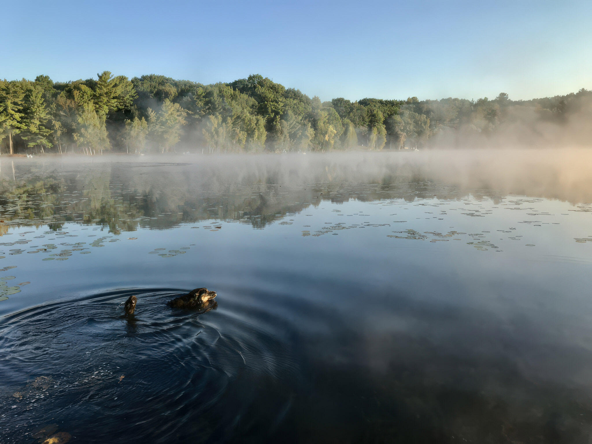 4185 North Taylor Road Branch, MI 49402 - Photo 49 of 67 8-Lake_005