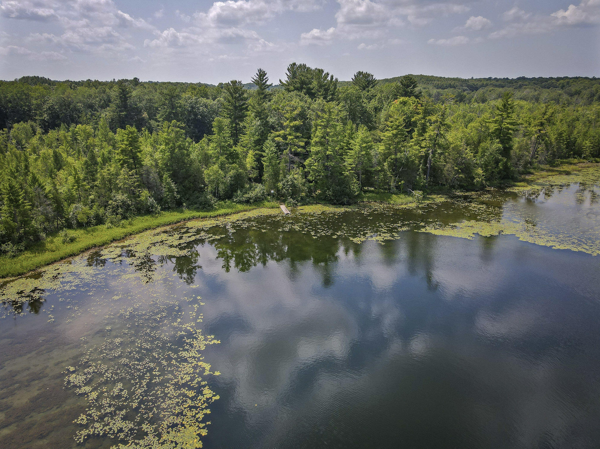4185 North Taylor Road Branch, MI 49402 - Photo 51 of 67 4-Lake_007