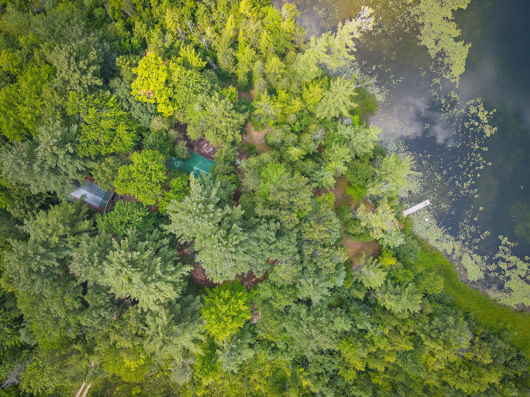 4185 North Taylor Road Branch, MI 49402 - Photo 53 of 67 DJI_0210