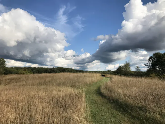 $829,000 | 4185 North Taylor Road, Branch, MI 49402