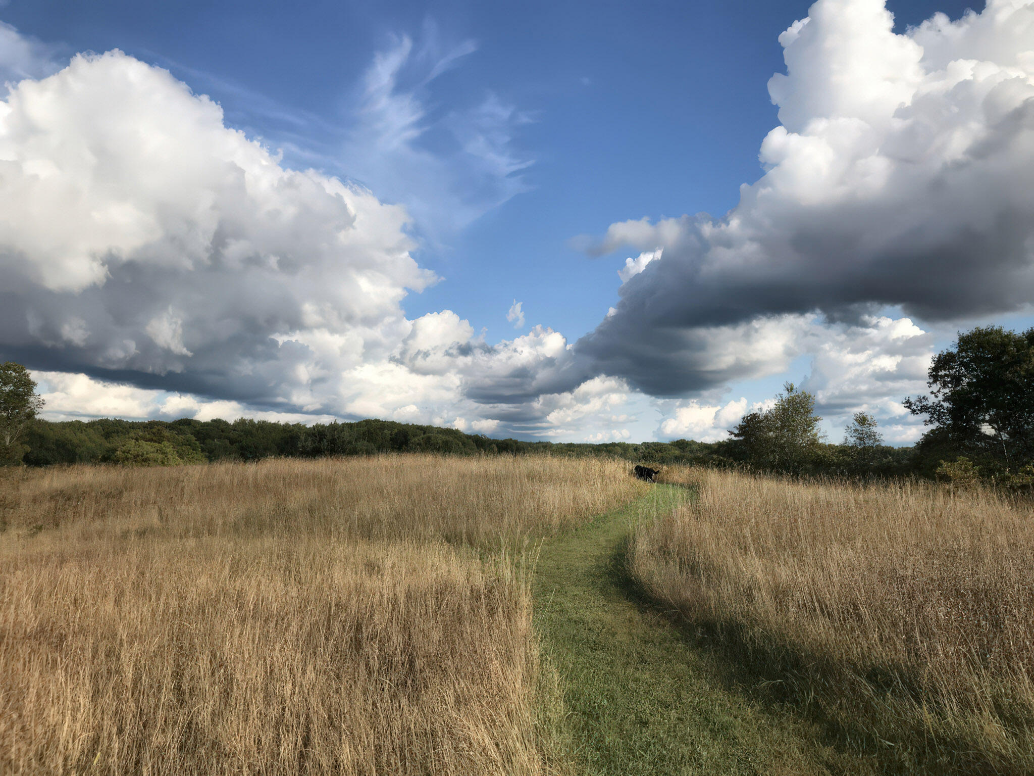 4185 North Taylor Road Branch, MI 49402 - Photo 54 of 67 2-lastImage