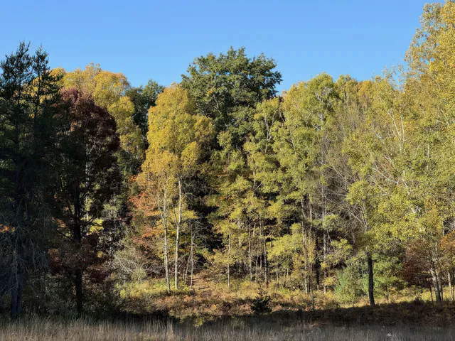 $829,000 | 4185 North Taylor Road, Branch, MI 49402