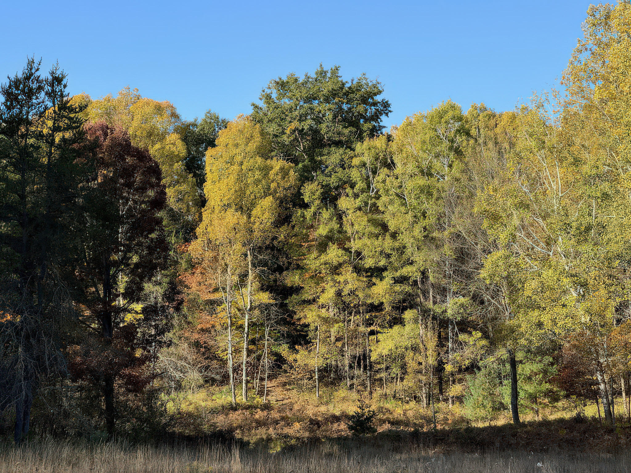 4185 North Taylor Road Branch, MI 49402 - Photo 55 of 67 32-C2DC37D6b-8EB9-4C33-A9E8-9F4FF4CE066B