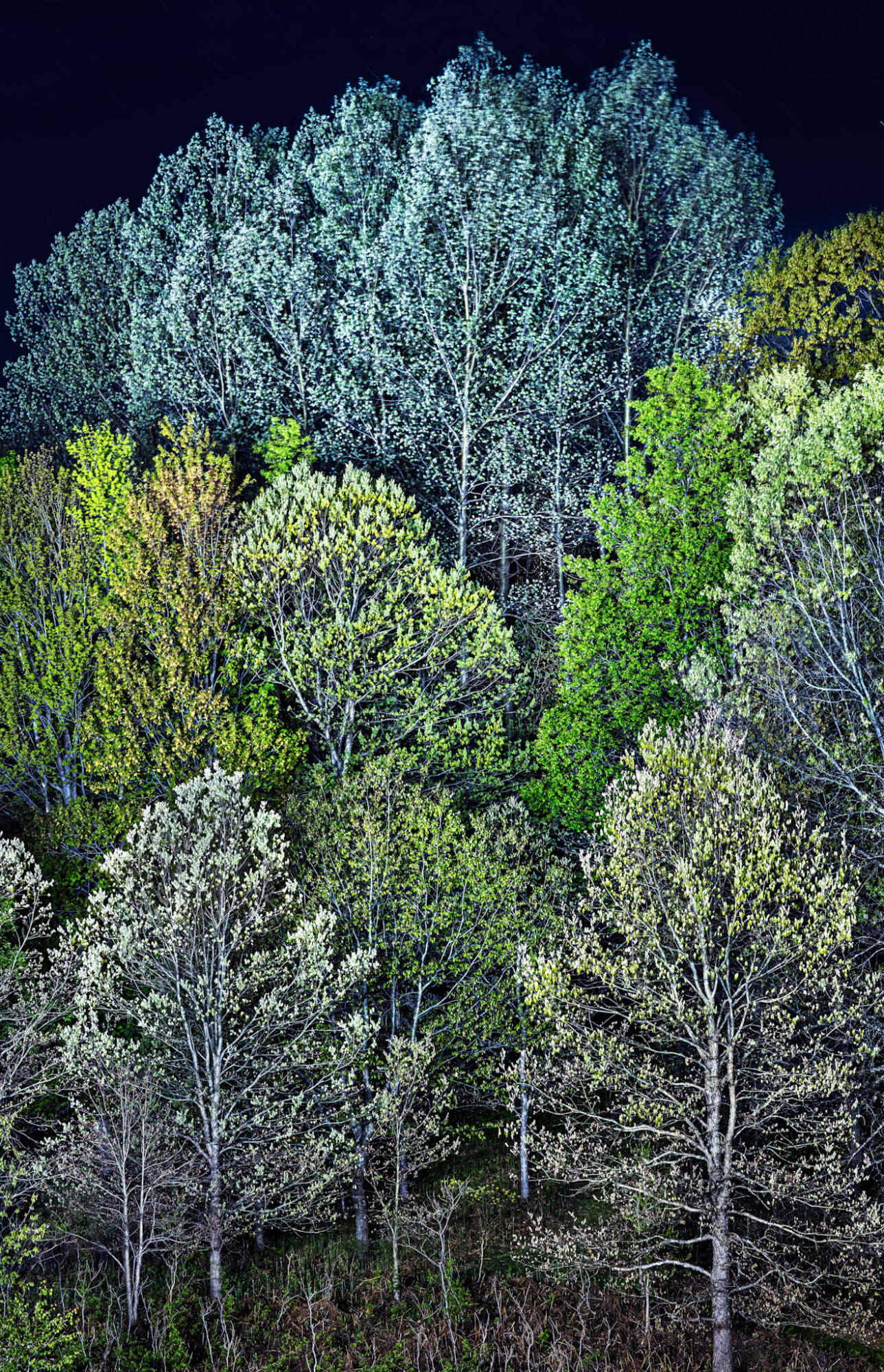 4185 North Taylor Road Branch, MI 49402 - Photo 58 of 67 38-5315bhc_lightFinalDarkcrop-topaz-deno