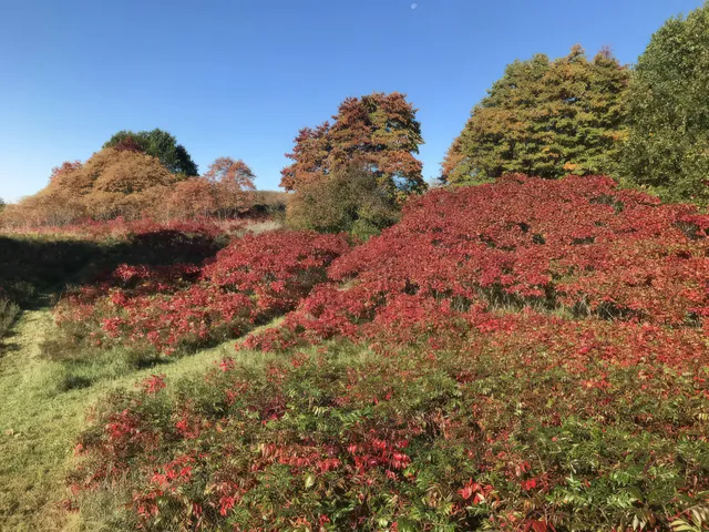 $829,000 | 4185 North Taylor Road, Branch, MI 49402