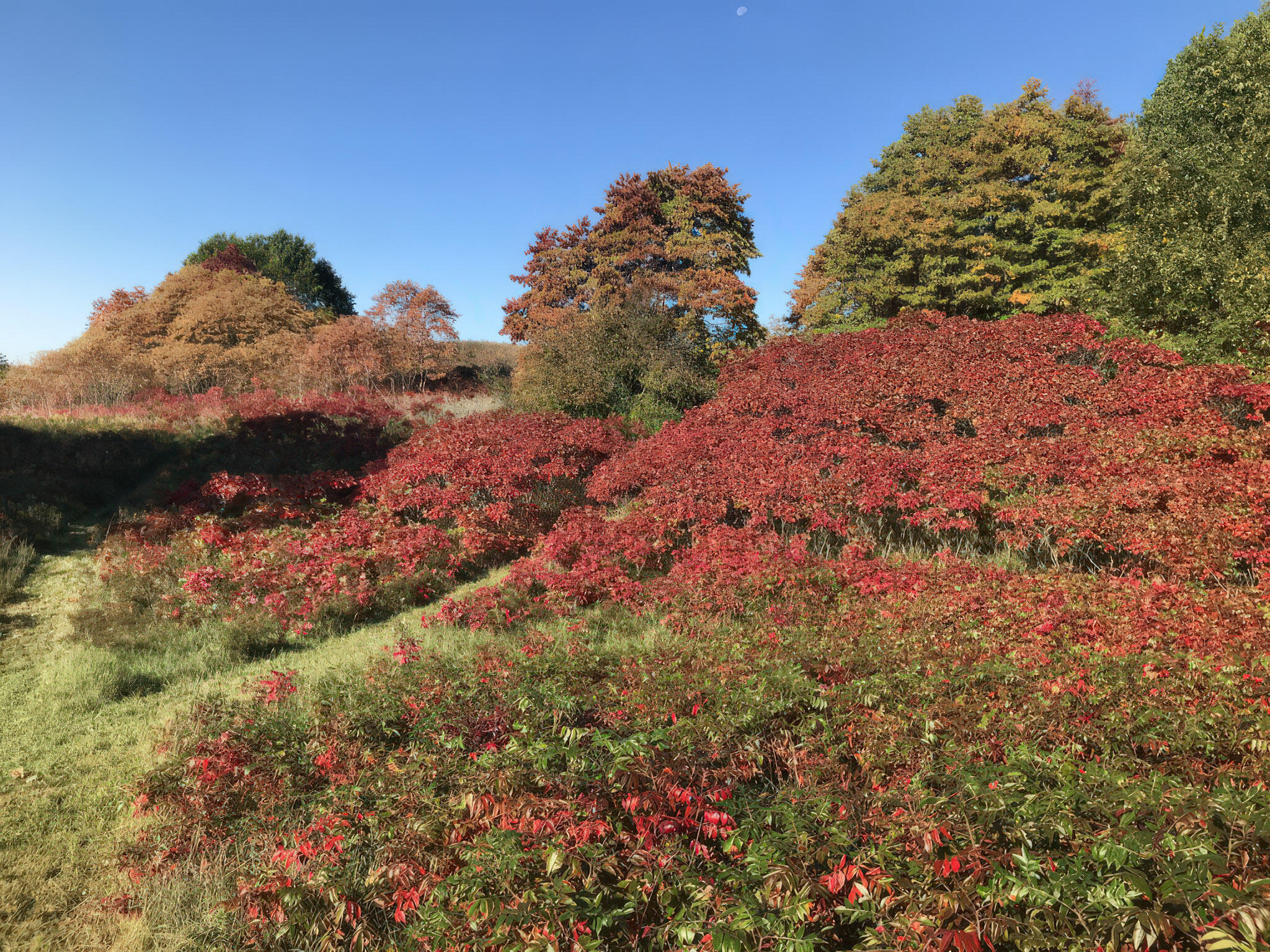 4185 North Taylor Road Branch, MI 49402 - Photo 59 of 67 39-B7D4336B-1D3Ab-4DDE-8EDF-B9DD21373961