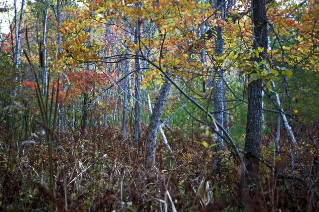 $829,000 | 4185 North Taylor Road, Branch, MI 49402