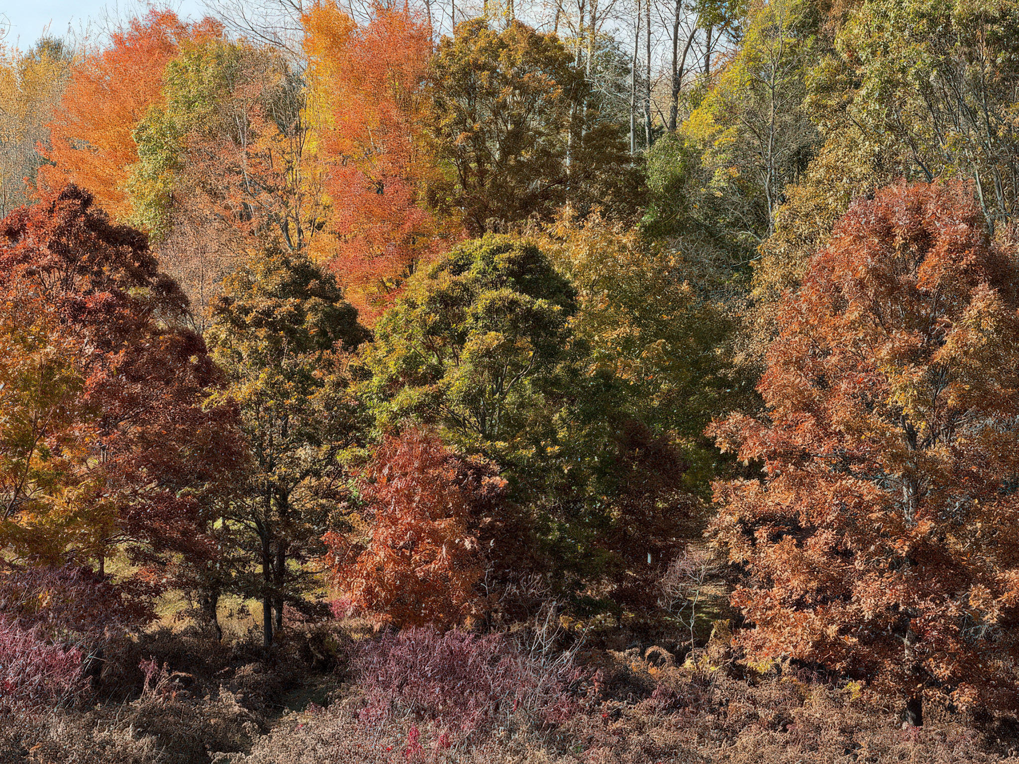 4185 North Taylor Road Branch, MI 49402 - Photo 65 of 67 46-0D110D9Cb-5EA1-4A25-BAA4-C25EA13E815C