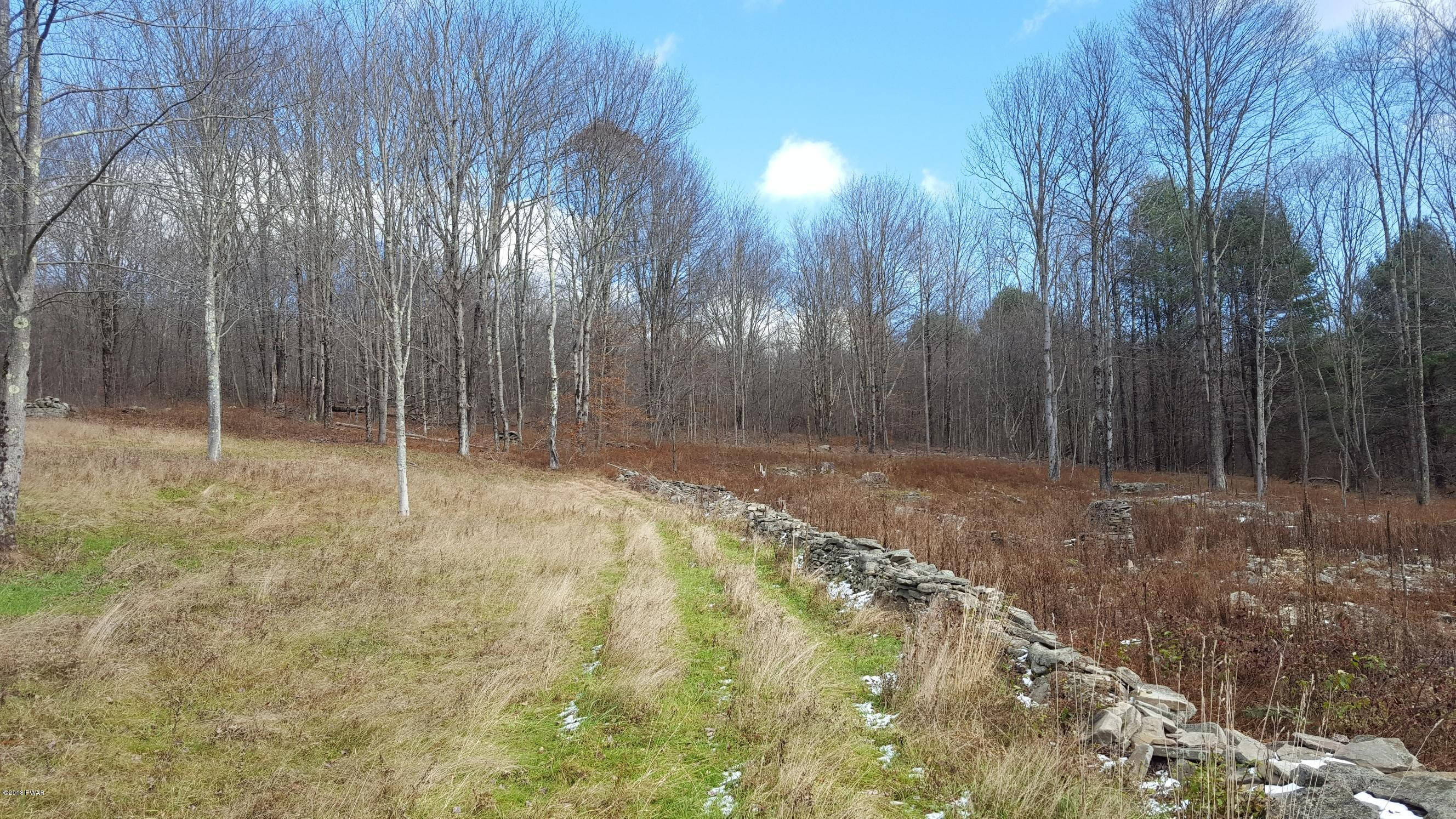 180 Layton Road Equinunk, PA 18417 - Photo 9 of 20 Native stone walls