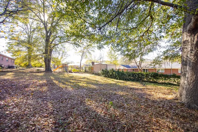 a view of yard with tree