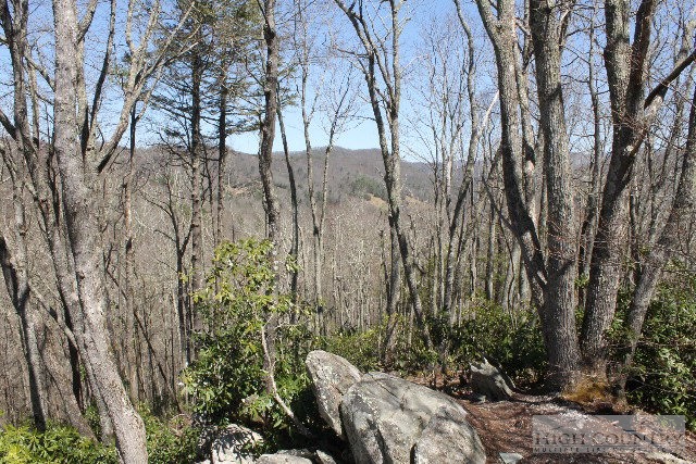 497 Ontario Ridge Boone, NC 28607 - Photo 17 of 29 Gallery Image 17