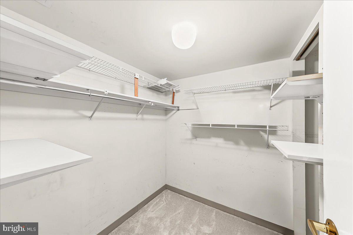800 Avondale Road, Unit 3K Wallingford, PA 19086 - Photo 22 of 30 Large hall Closet