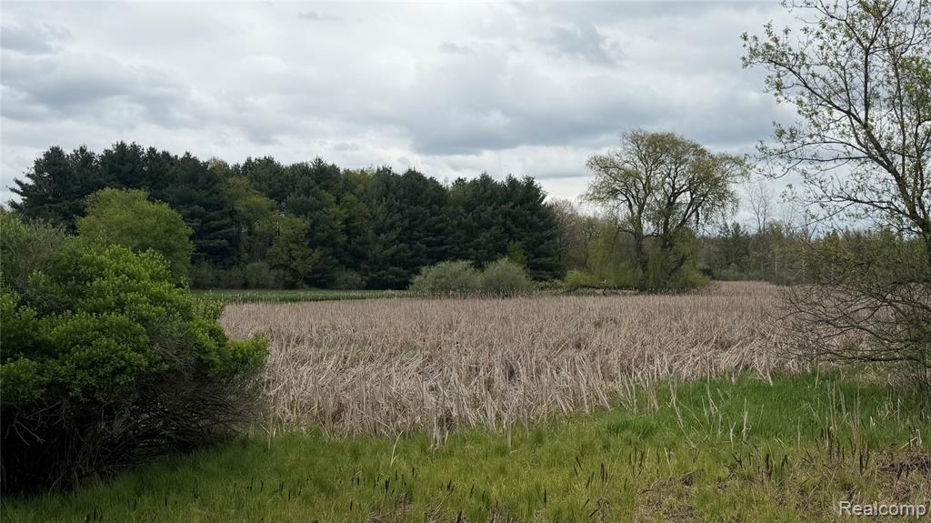 8079 Farley Road Pinckney, MI 48169 - Photo 40 of 43