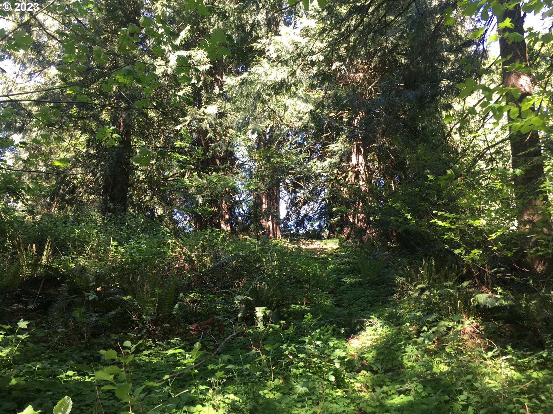 34150 Southeast Coupland Road Estacada, OR 97023 - Photo 30 of 35 Gallery Image 30