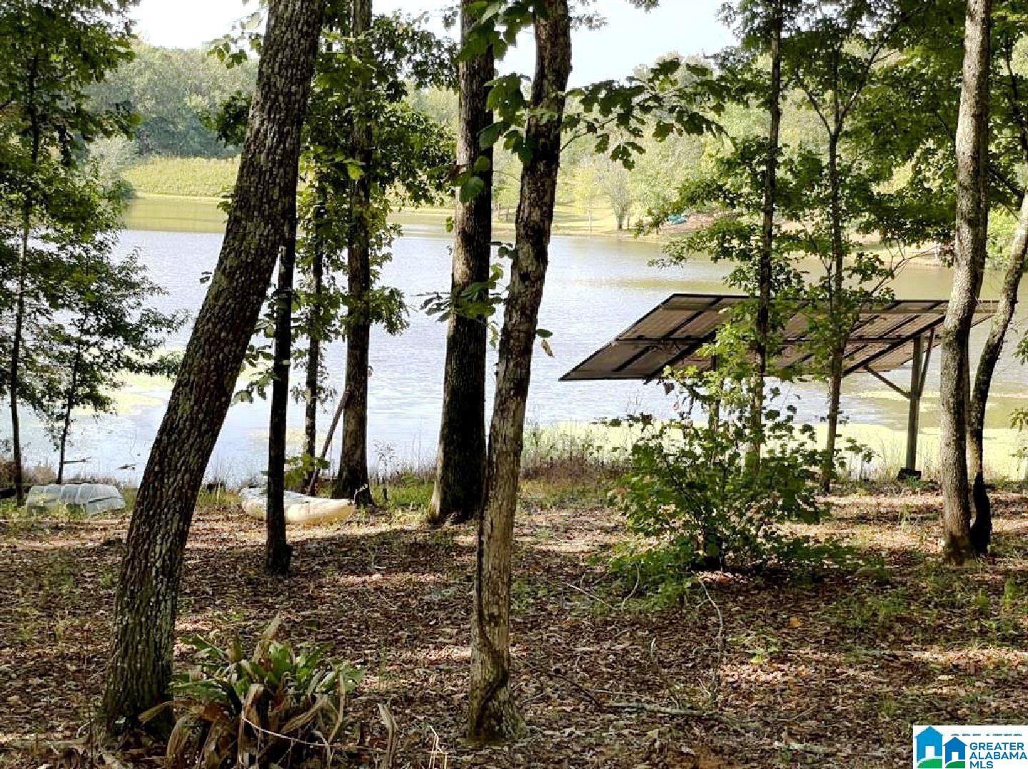 255 Royster Road South Ashland, AL 36251 - Photo 25 of 33