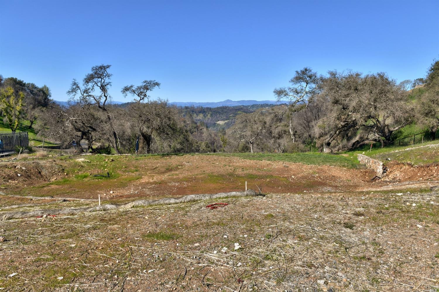 a view of a yard with a tree