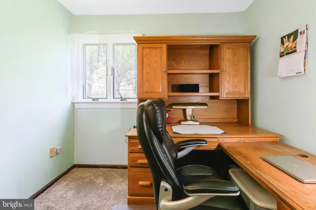 a view of yard with green space and trees