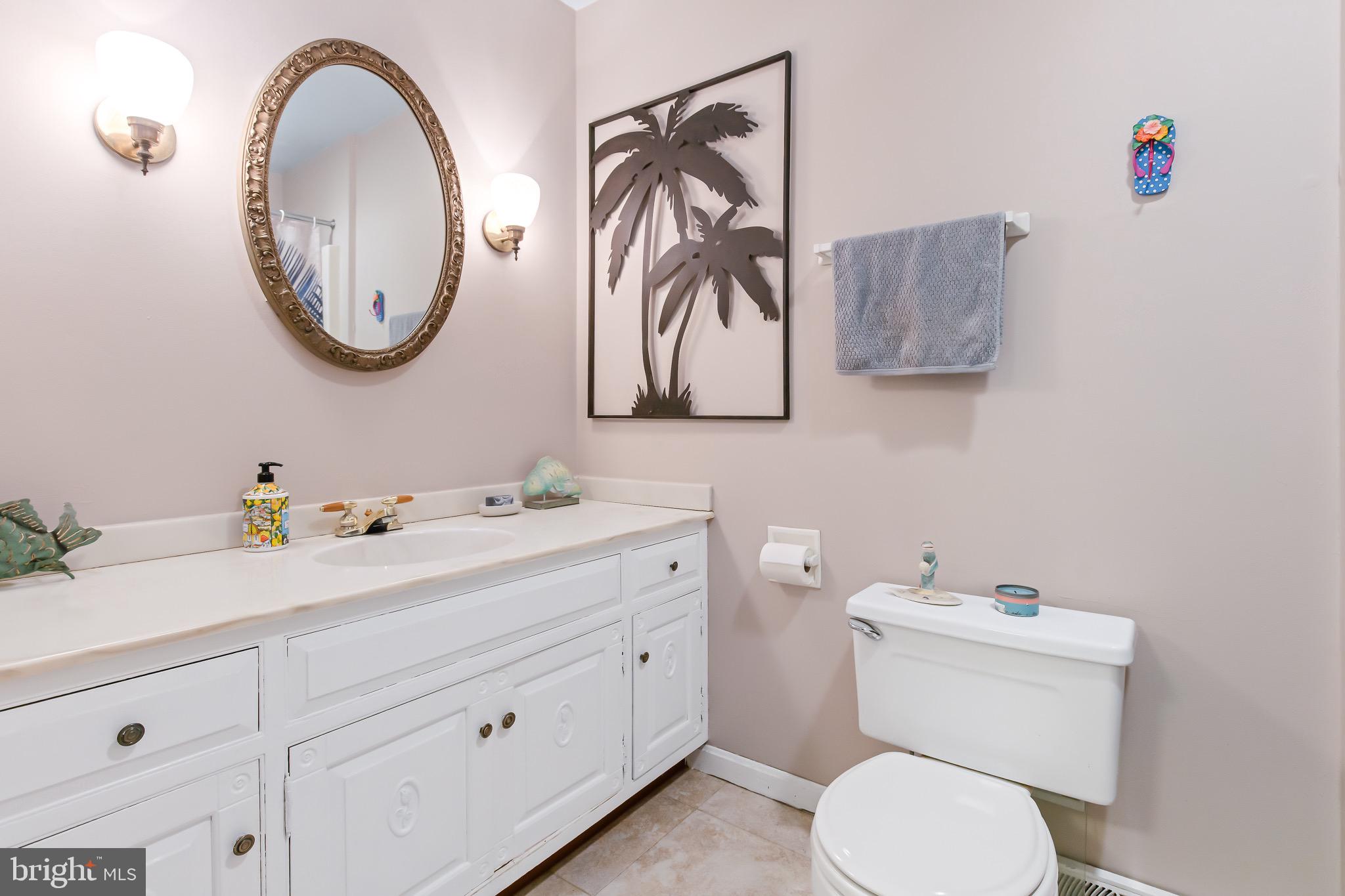 575 Millcross Road Lancaster, PA 17601 - Photo 34 of 47 2nd Full Bathroom View 1, Upper Level