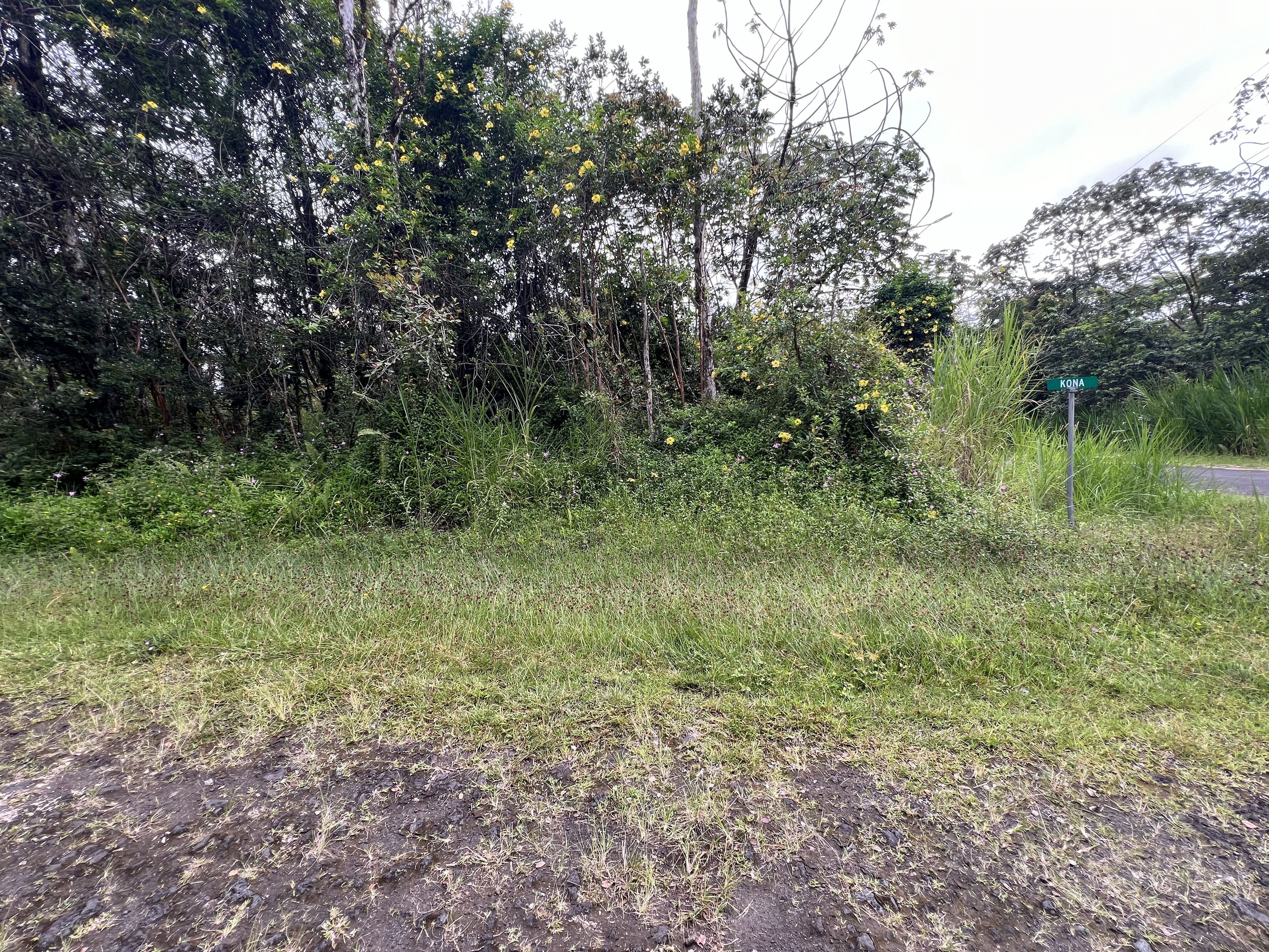 204 Kona Road Pahoa, HI 96778 - Photo 2 of 3 Gallery Image 2