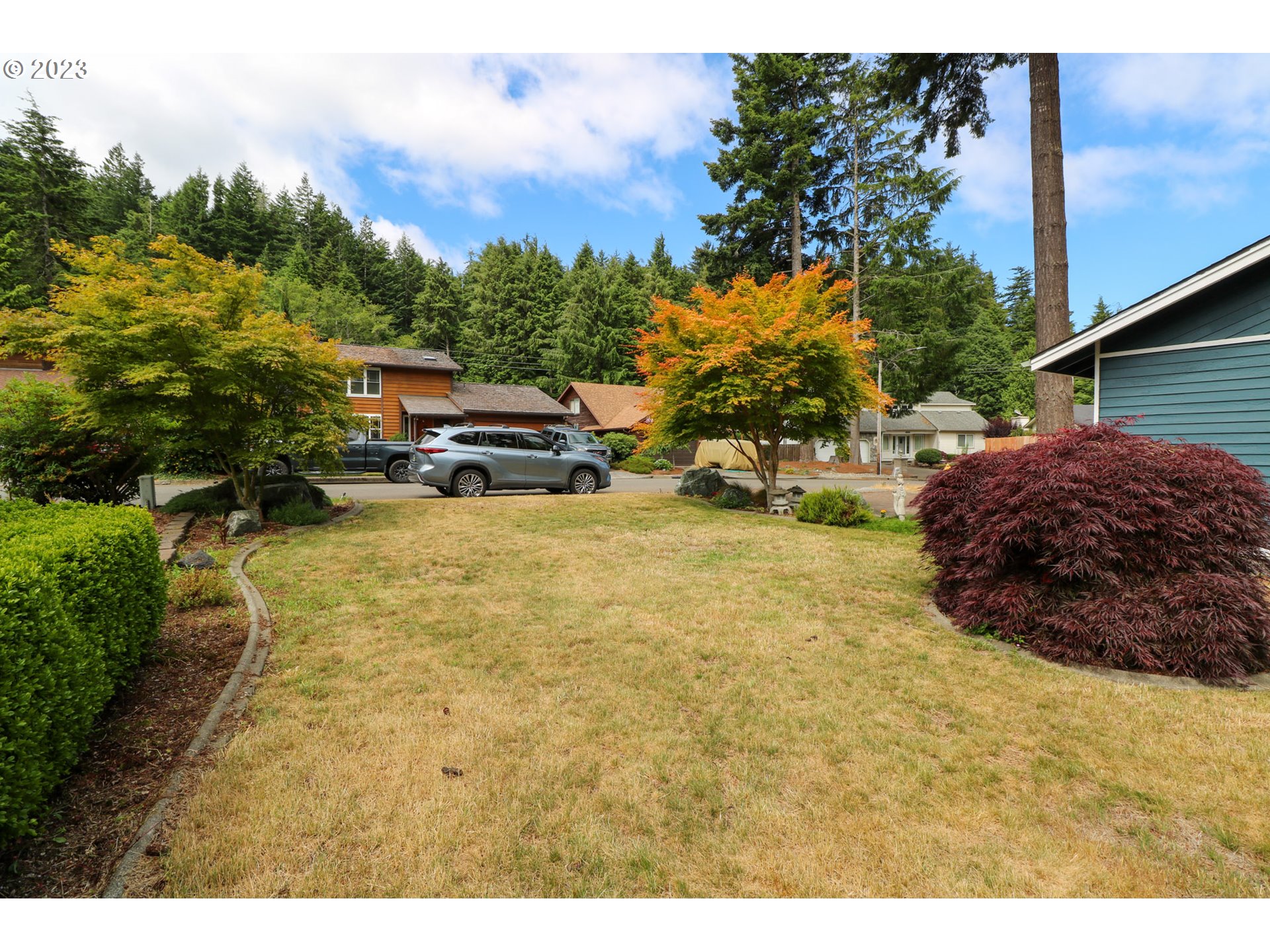 2075 Timberline Drive Coos Bay, OR 97420 - Photo 6 of 39 a view of backyard with swimming pool and trees