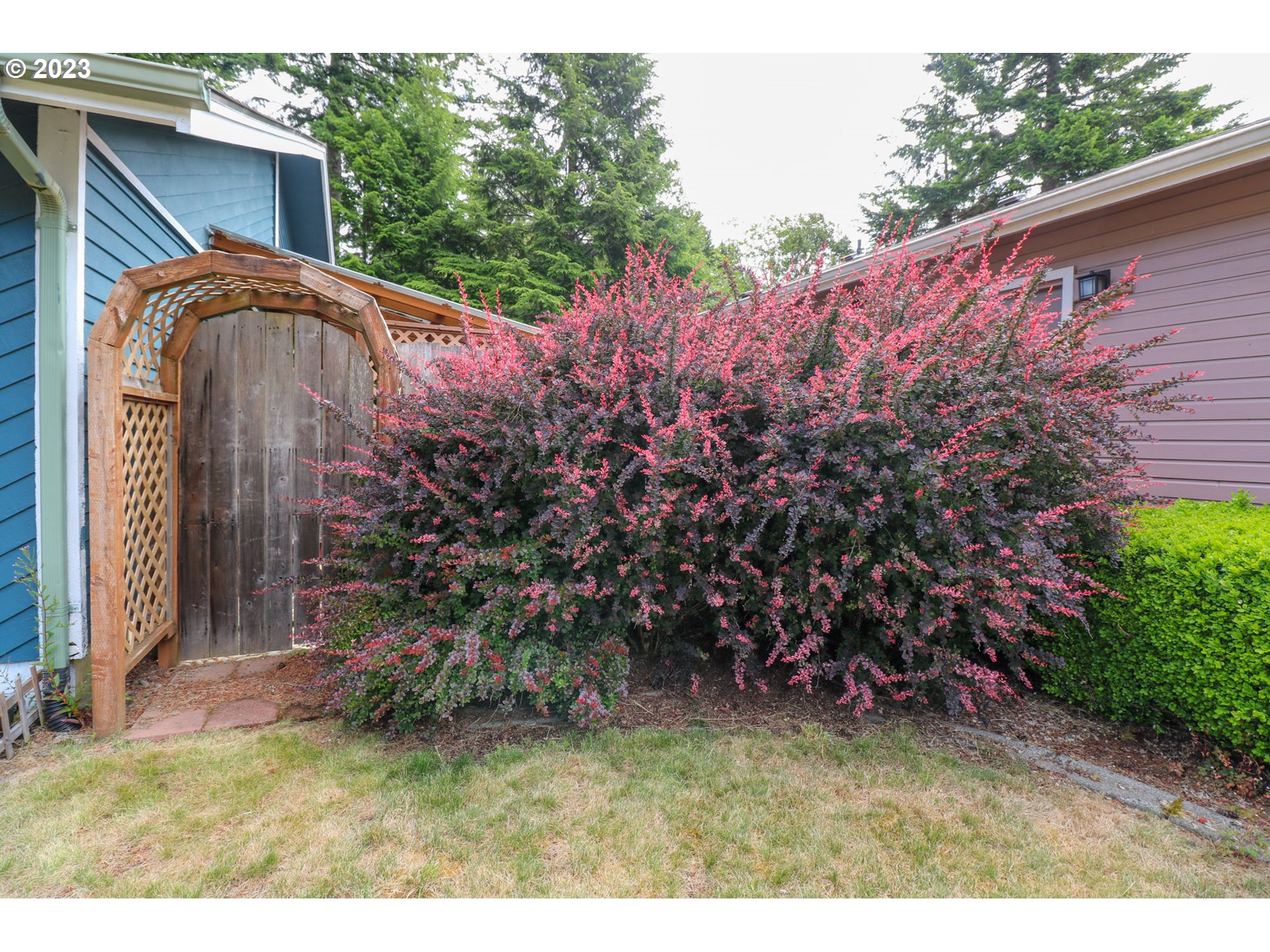 2075 Timberline Drive Coos Bay, OR 97420 - Photo 7 of 39 a backyard of a house with lots of green space