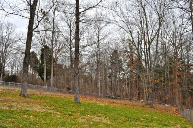 3354 Backridge Road Woodlawn, TN 37191 - Photo 15 of 15 Fenced backyard