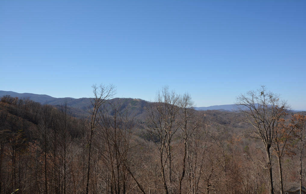 1040 East Kings Ridge Road Gatlinburg, TN 37738 - Photo 3 of 36 C