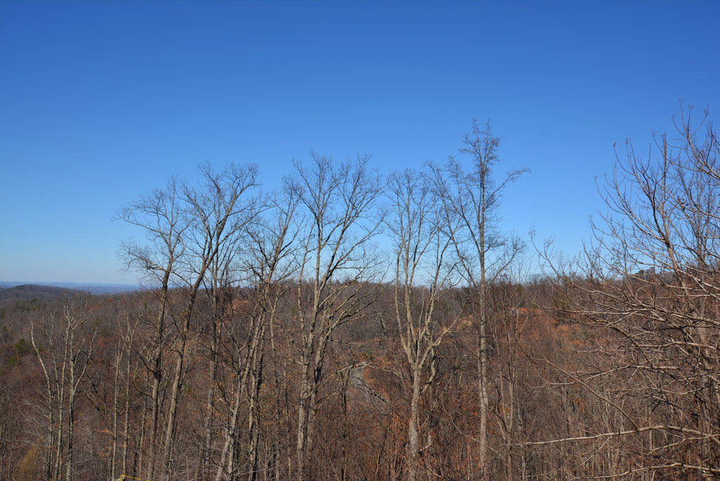 1040 East Kings Ridge Road Gatlinburg, TN 37738 - Photo 35 of 36 ZI