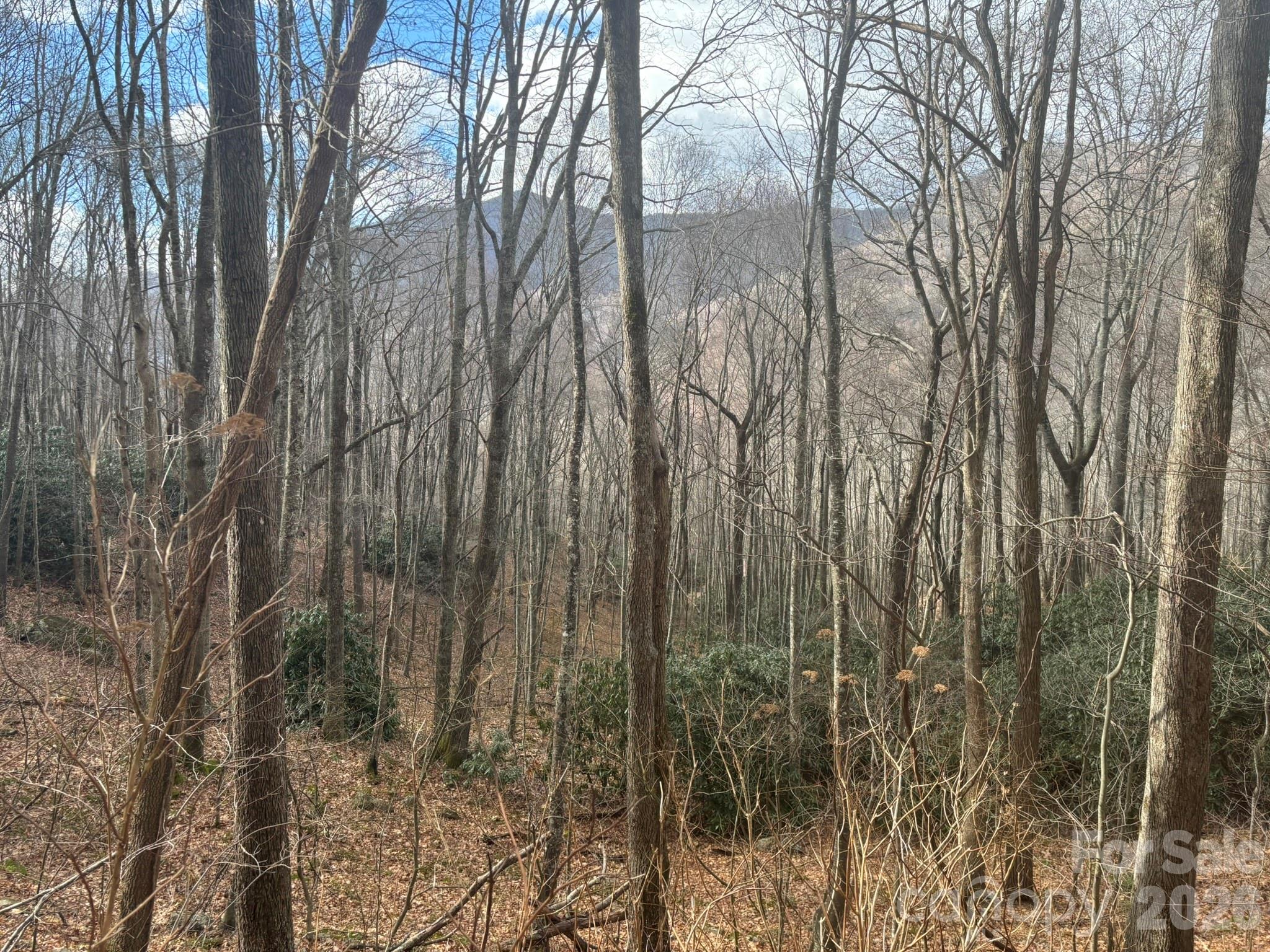 68 Grouse Road, Unit 68 Clyde, NC 28721 - Photo 2 of 6 a view of forest