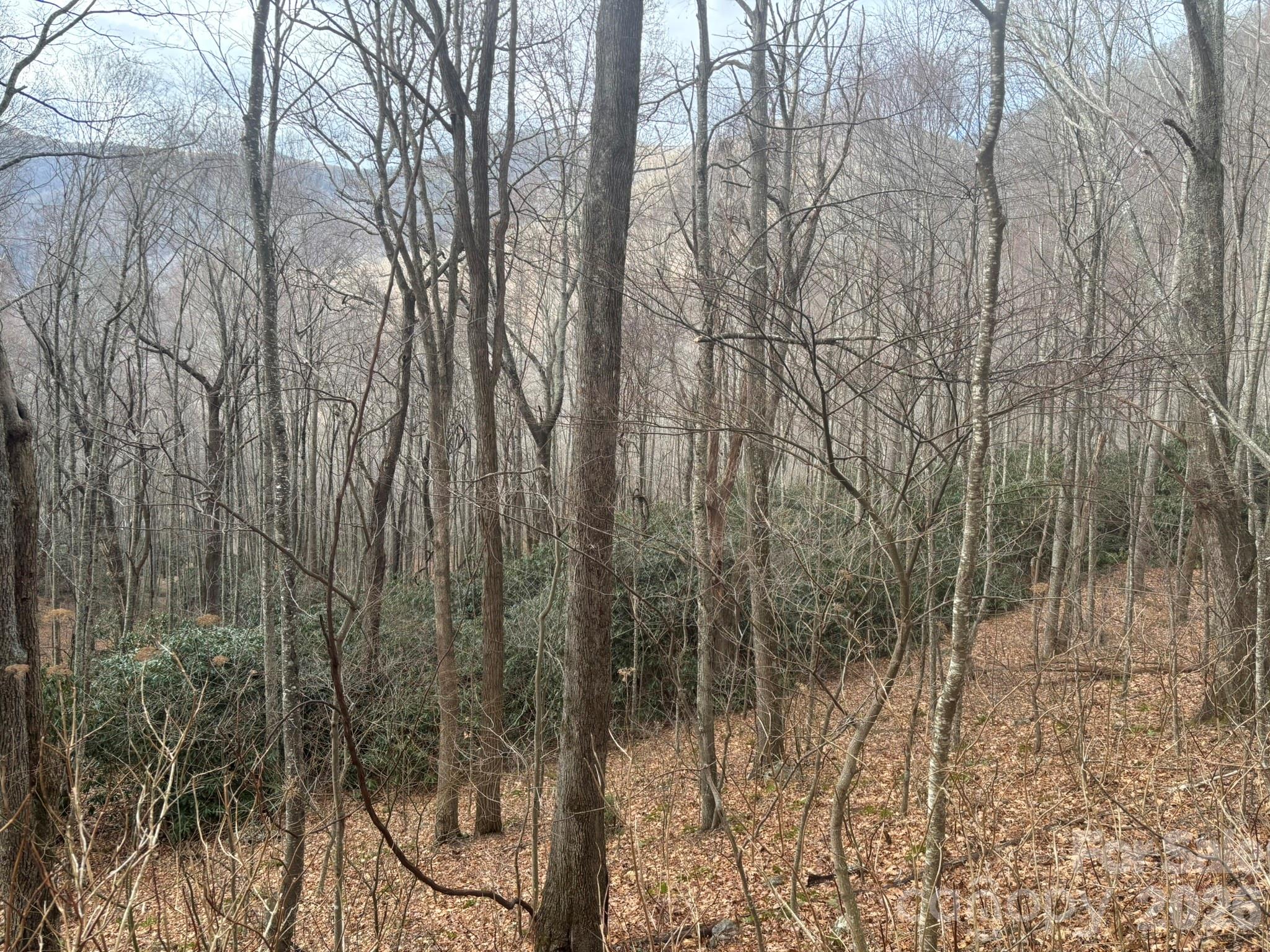 68 Grouse Road, Unit 68 Clyde, NC 28721 - Photo 6 of 6 a view of a yard