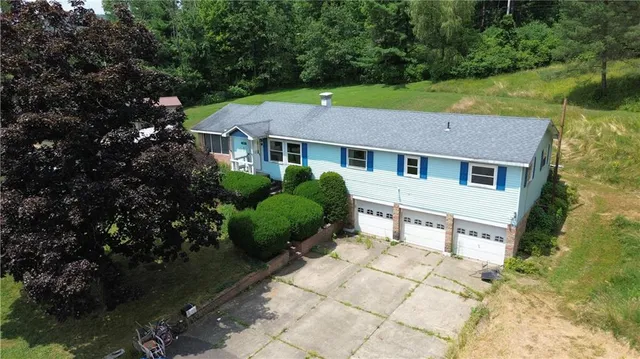 a house that has a tree in it
