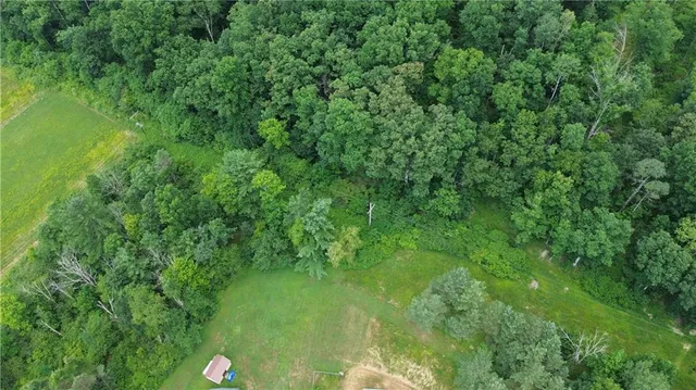 a view of a lush green space