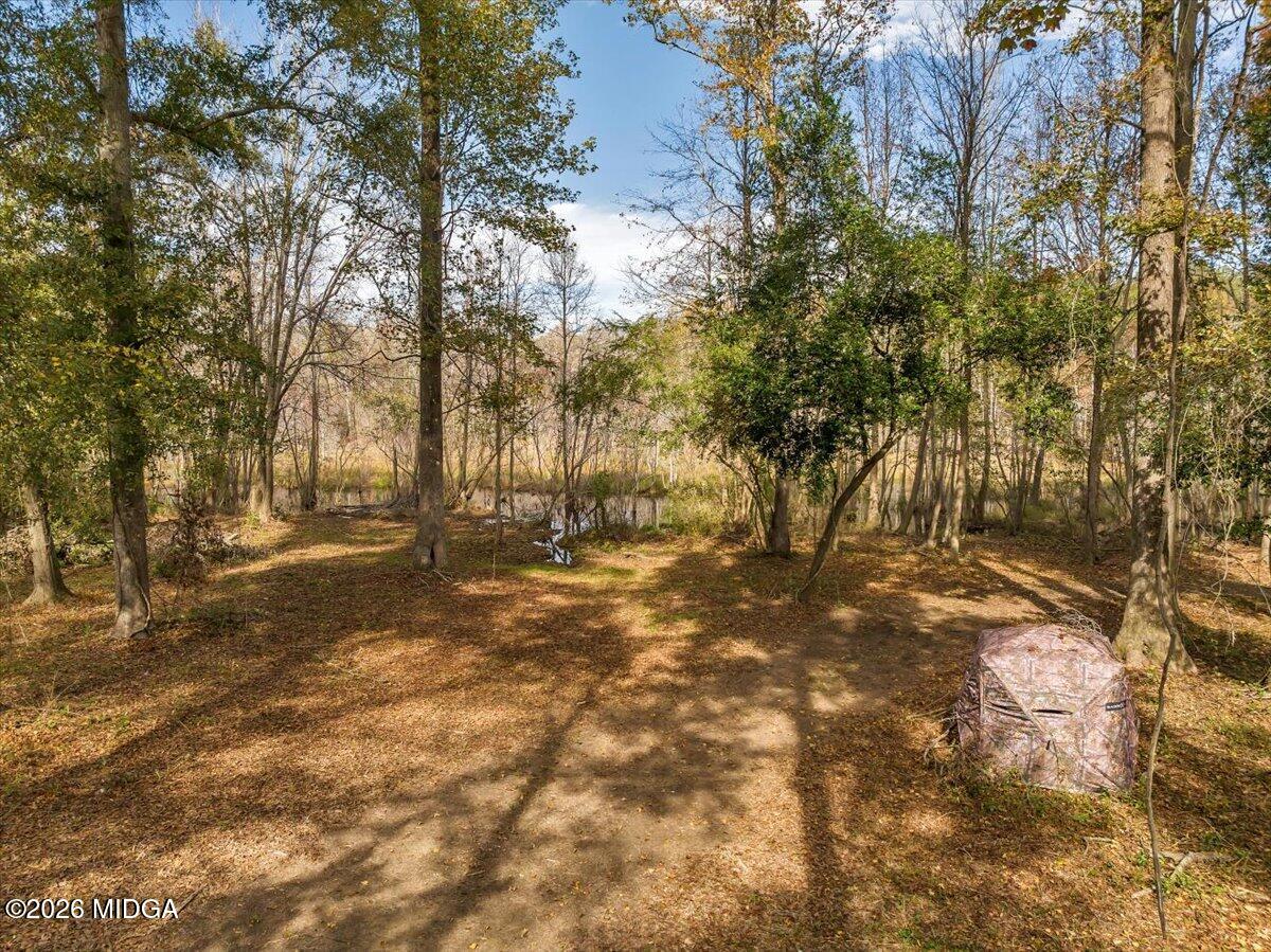 4565 Sardis Church Road Macon, GA 31216 - Photo 66 of 69 061-4565 sardis church rd (55)