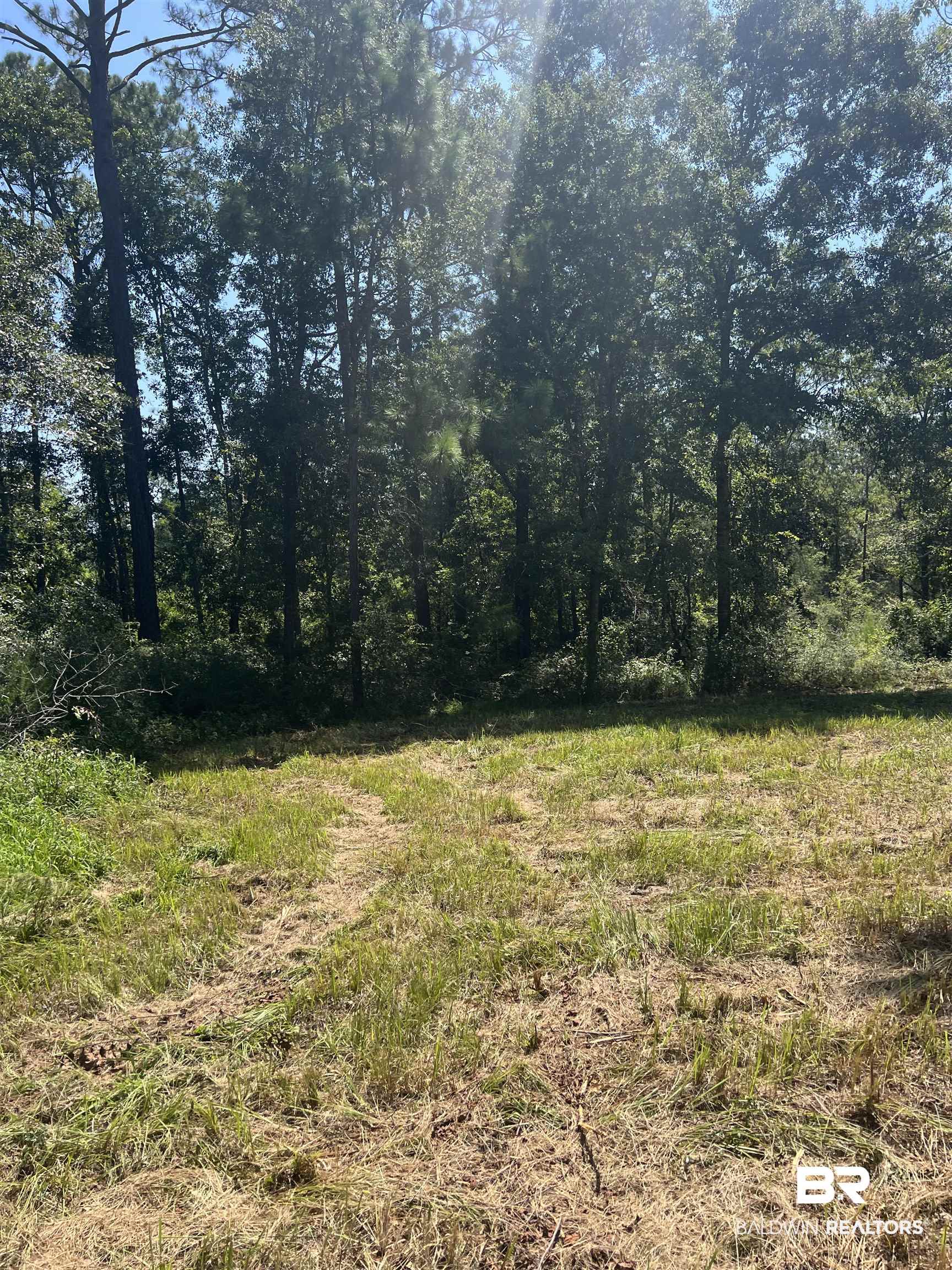 0 Cactus Court Elberta, AL 36530 - Photo 23 of 24 Gallery Image 23
