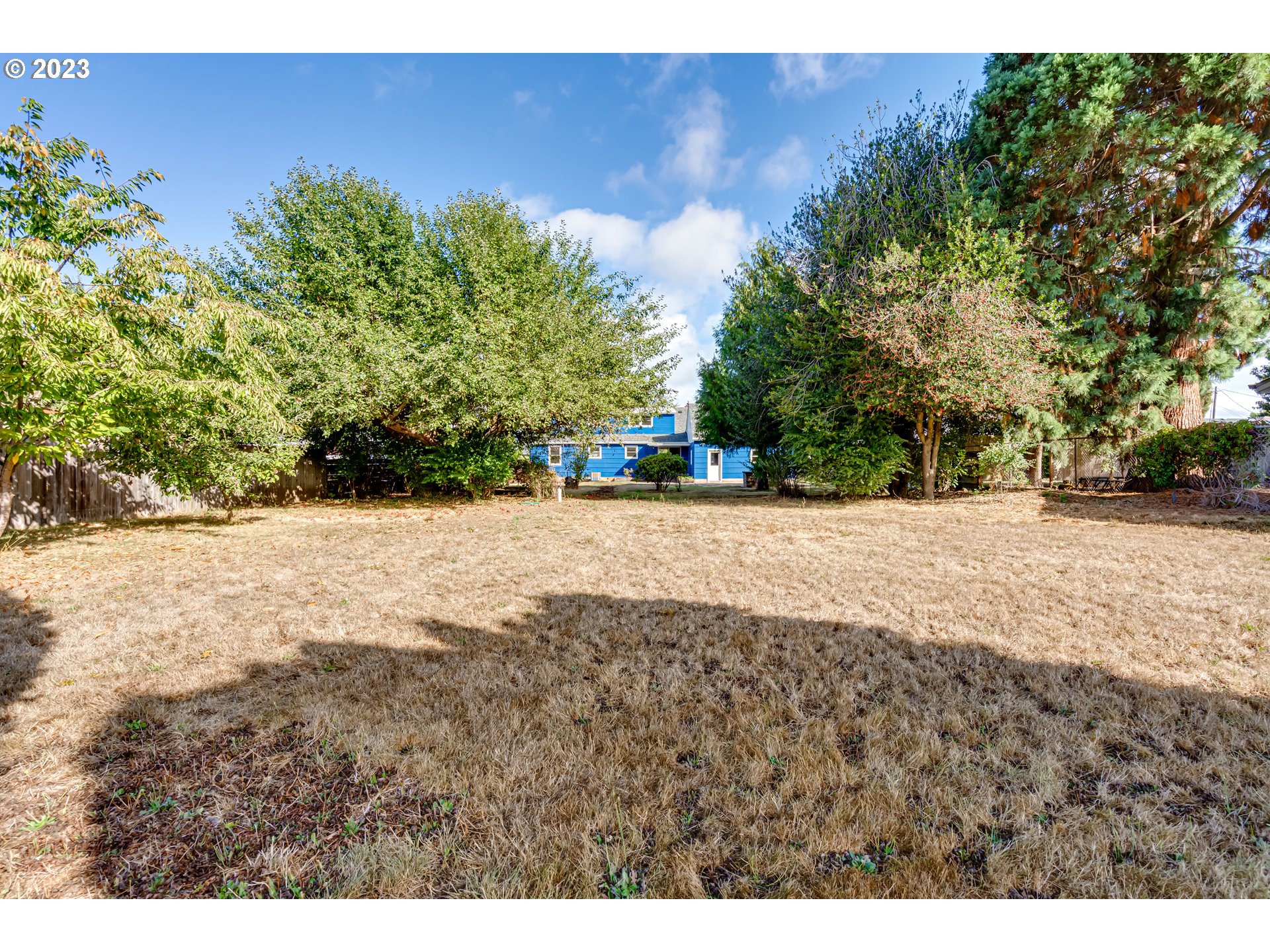 4055 North Street Springfield, OR 97478 - Photo 35 of 48 a view of a yard with an trees