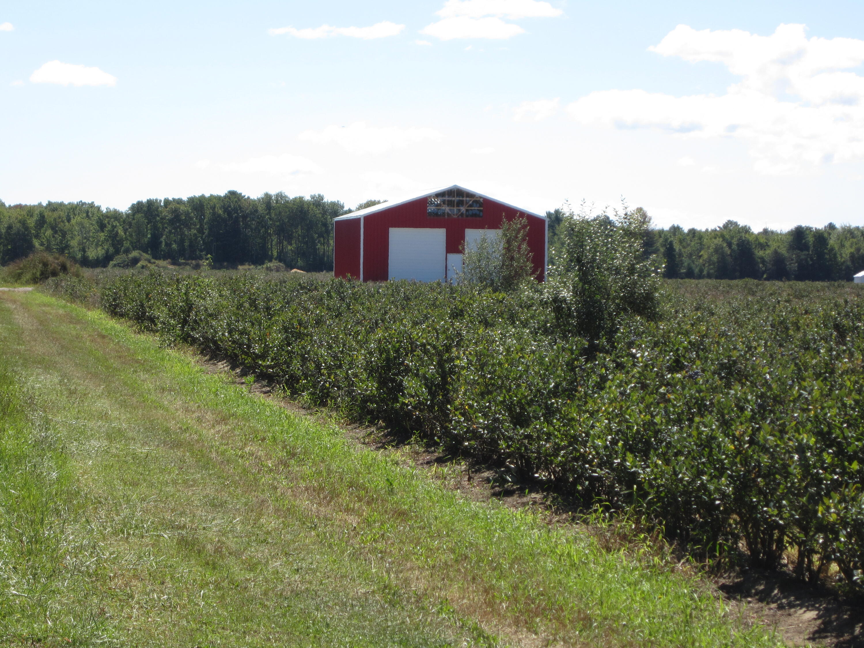 1997 East Townline Road Free Soil, MI 49411 - Photo 11 of 49 IMG_5921