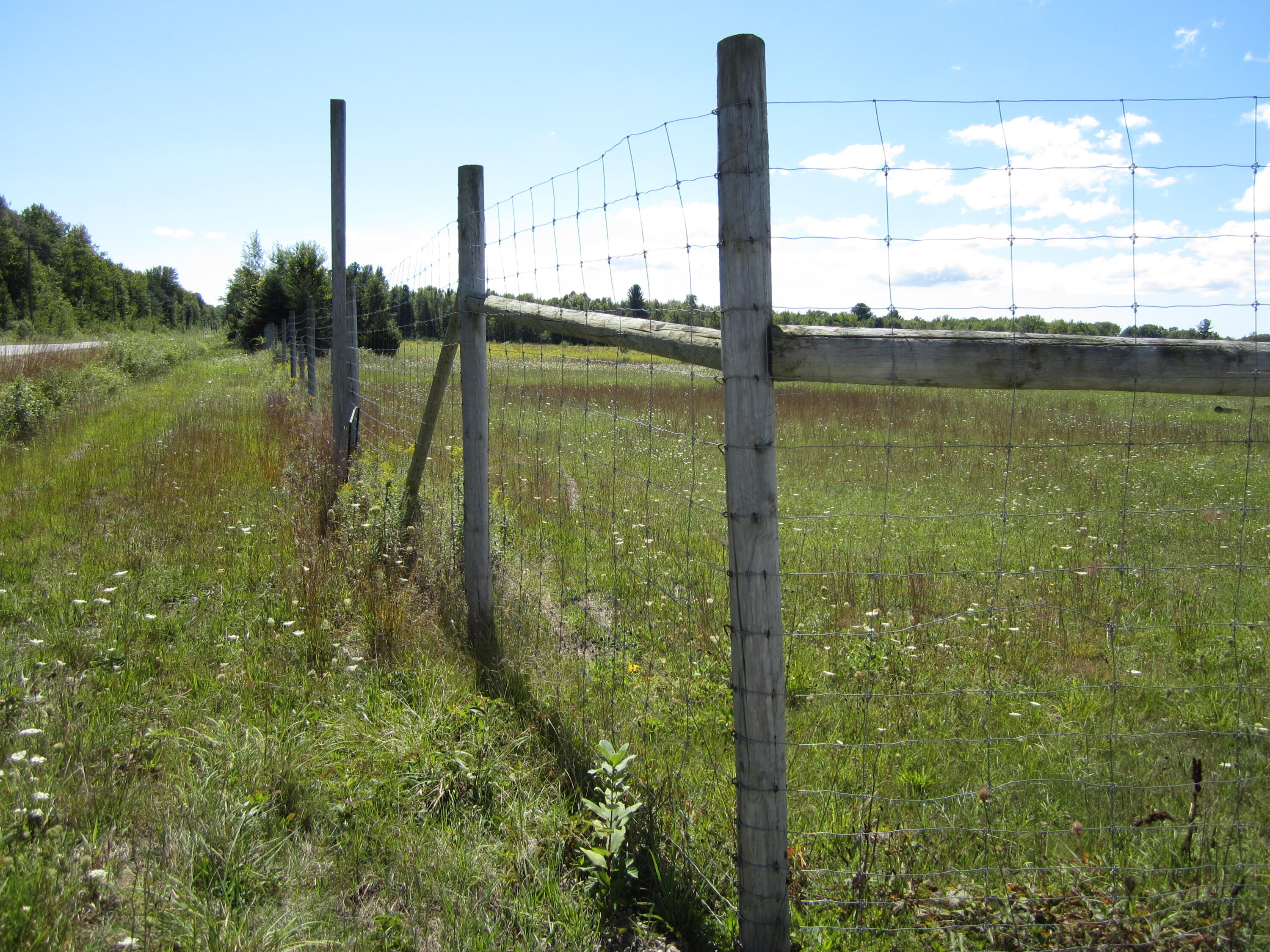 1997 East Townline Road Free Soil, MI 49411 - Photo 14 of 49 IMG_5947