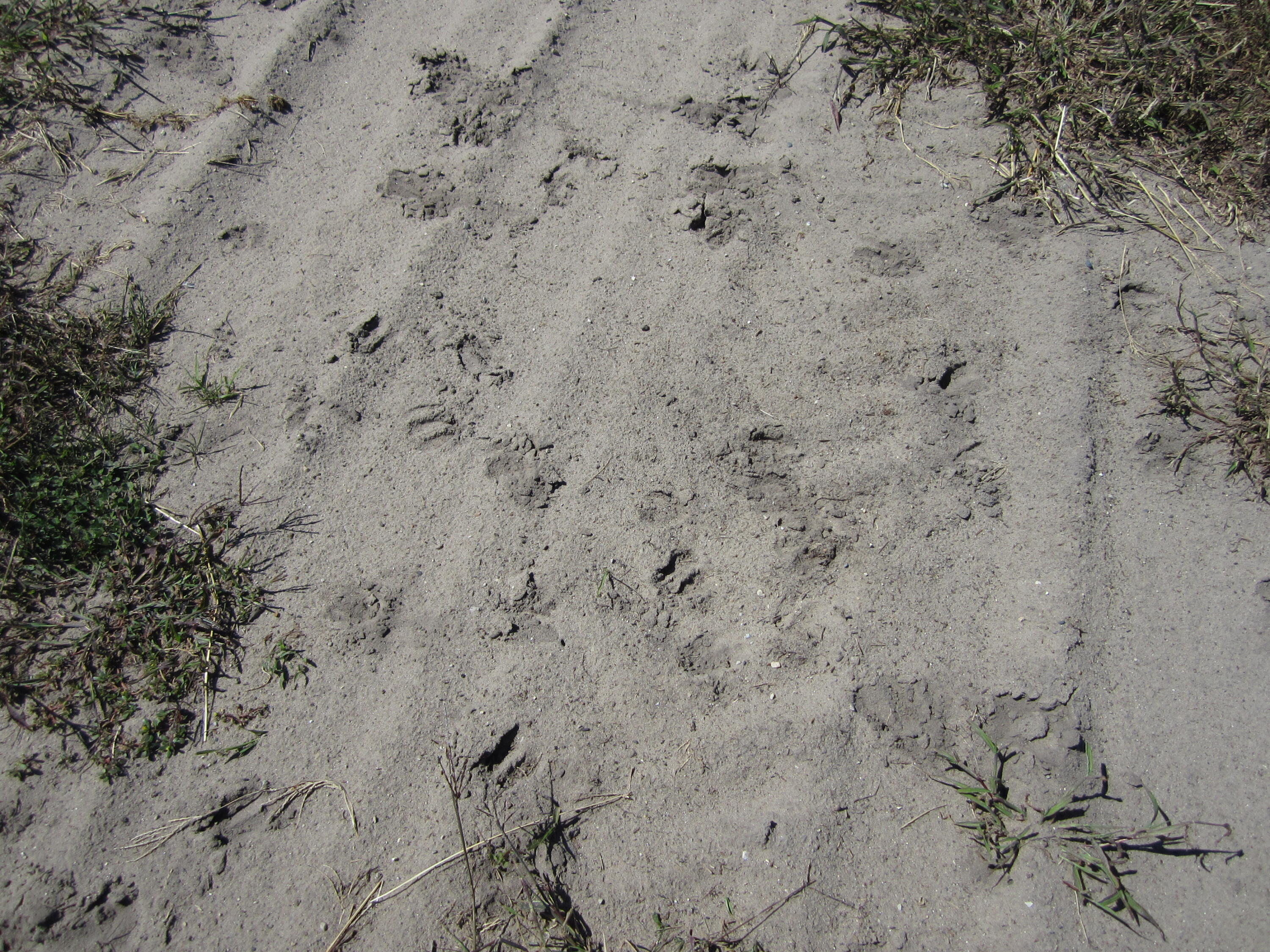 1997 East Townline Road Free Soil, MI 49411 - Photo 26 of 49 IMG_5934