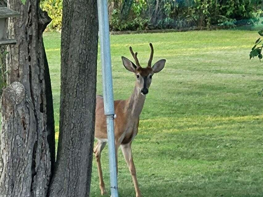 1997 East Townline Road Free Soil, MI 49411 - Photo 27 of 49 20250828113002447000000000-o