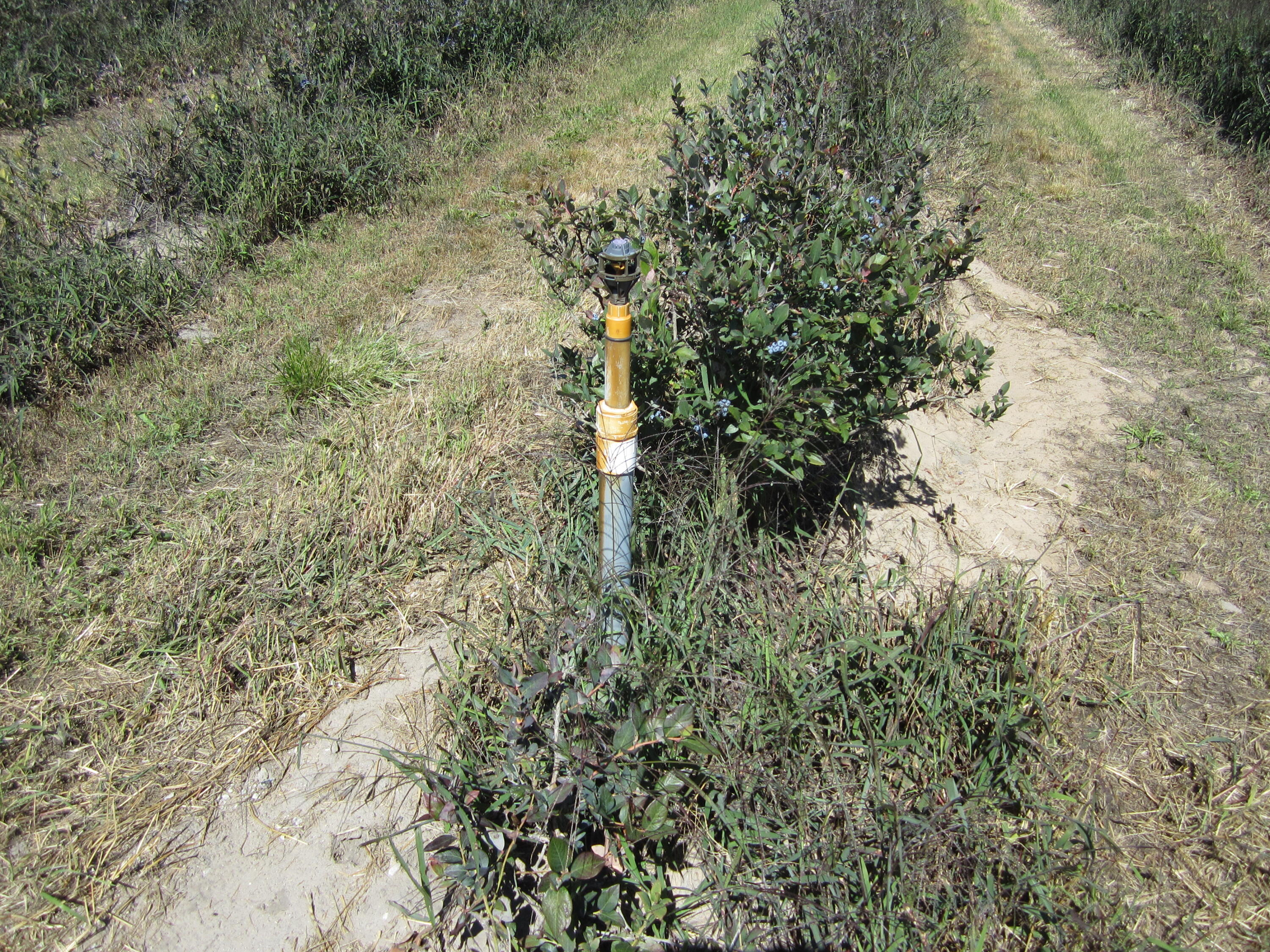 1997 East Townline Road Free Soil, MI 49411 - Photo 28 of 49 IMG_5932