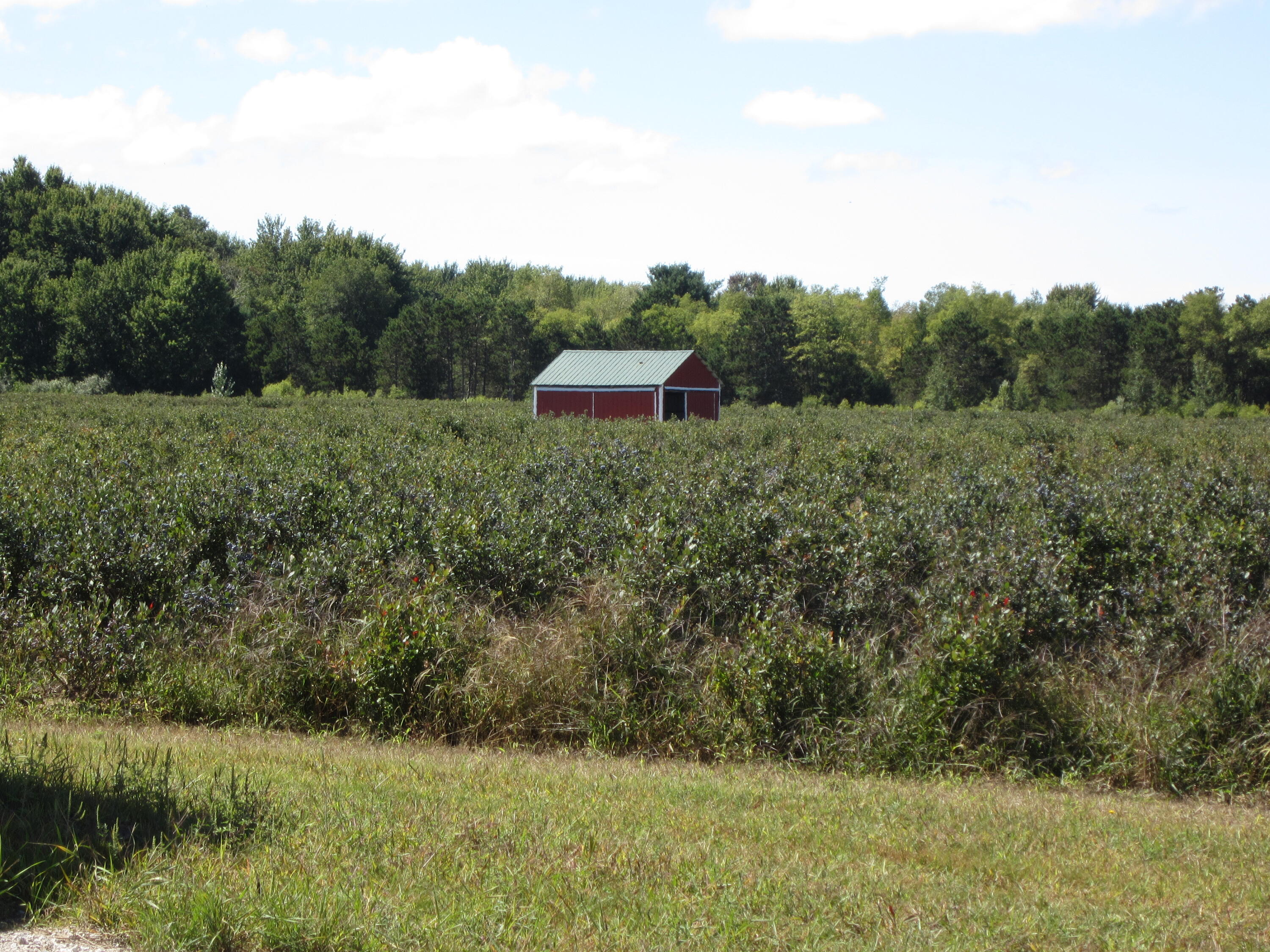 1997 East Townline Road Free Soil, MI 49411 - Photo 33 of 49 IMG_5925