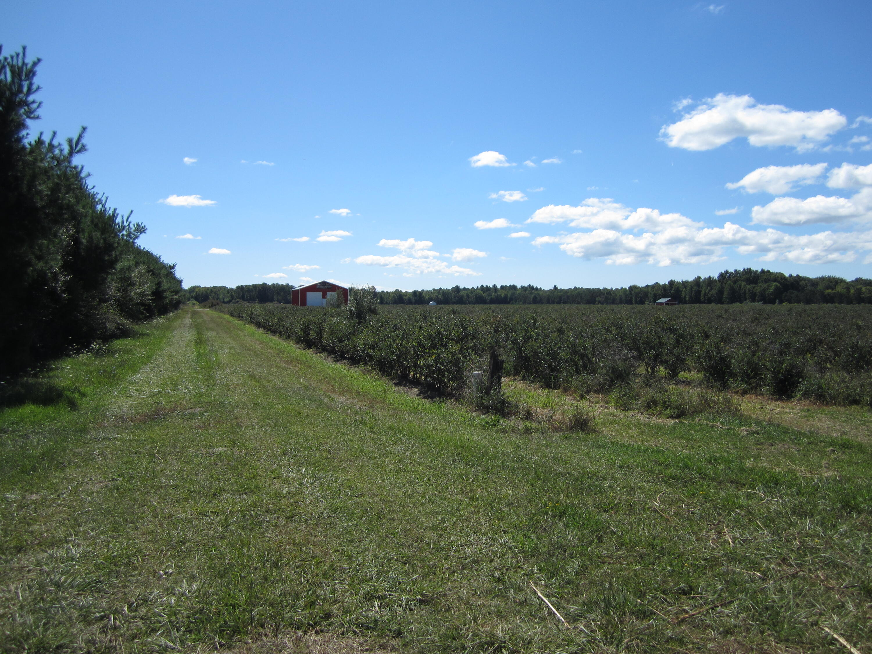 1997 East Townline Road Free Soil, MI 49411 - Photo 35 of 49 IMG_5920