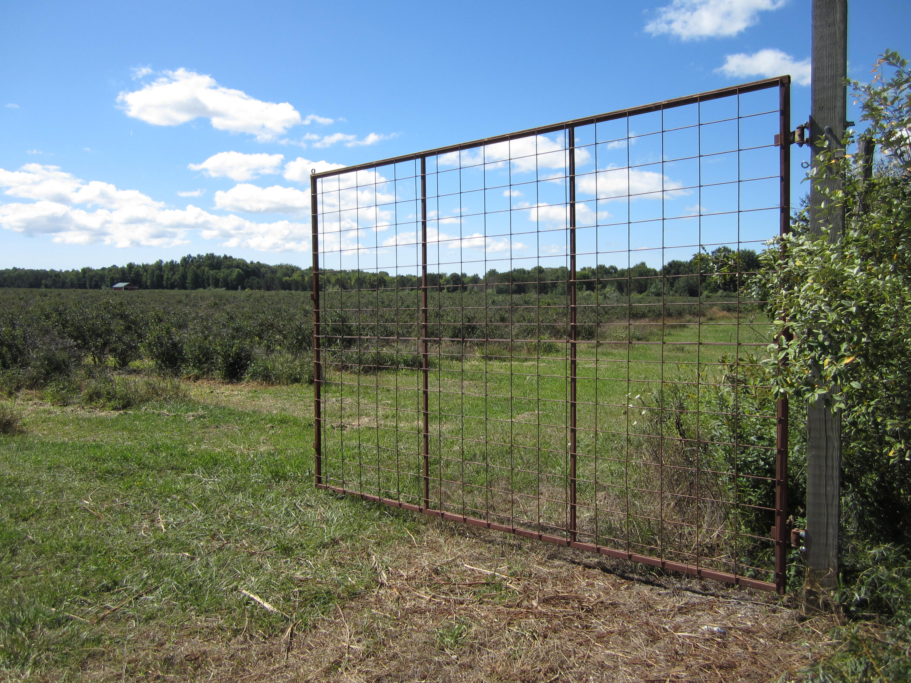 1997 East Townline Road Free Soil, MI 49411 - Photo 36 of 49 IMG_5919